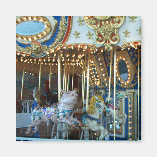 Merry Go Round Magneet