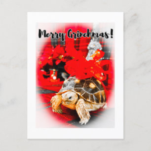 Merry Grinchmas baby sulcata schildpad met rode st Briefkaart