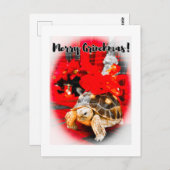 Merry Grinchmas baby sulcata schildpad met rode st Briefkaart (Voorkant / Achterkant)