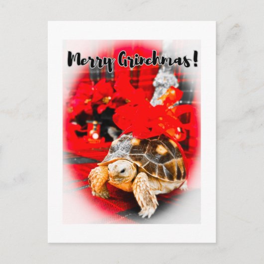 Merry Grinchmas baby sulcata schildpad met rode st Briefkaart (Voorkant)