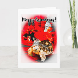 Merry Grinchmas baby sulcata schildpad met rode st Kaart