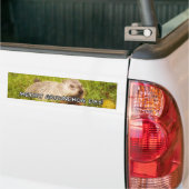 Merry Groundhog Day bumper sticker (Op Truck)