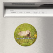Merry Groundhog Day magnet (Insitu (Vaatwasser))