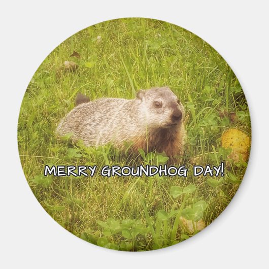 Merry Groundhog Day magnet (Voorkant)