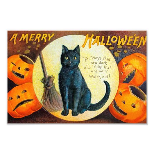 Merry Halloween Cat Foto Afdruk (Voorkant)
