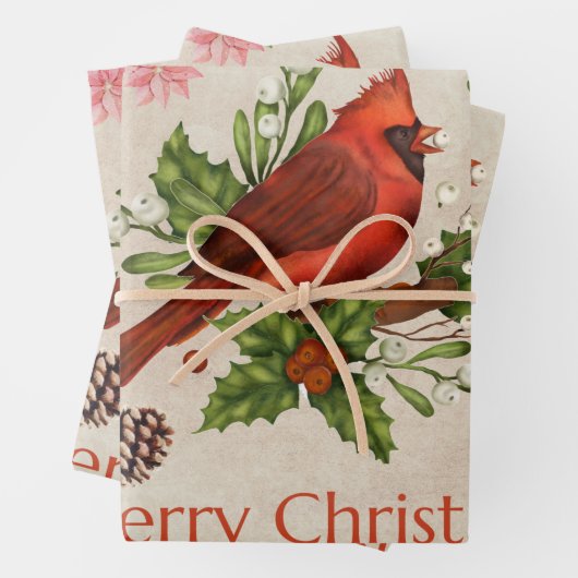 Merry kerrode kardinaal inpakpapier vel (In situ)