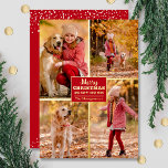 Merry kerst 4 Foto Collage Gold Folie Feestdagenkaart<br><div class="desc">Echte wenskaarten voor kerstmis hebben je achternaam en de groet 'Merry Kerstmis en Happy New Year' in een rode, echte gouden folie met je favoriete foto-collage in echte folie aan de voorkant en je voornamen aan de achterkant. De Live Design Service kan u indien nodig helpen met de lay-out van...</div>