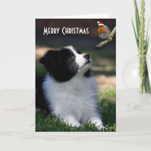 Merry kerst Baby Border Collie Feestdagen Kaart
