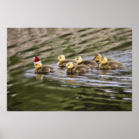 Merry kerst Baby Geese Poster (Voorkant)