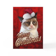 Merry kerst bruy kat