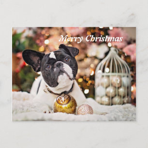 Merry kerst French Bulldog Feestdagenkaart