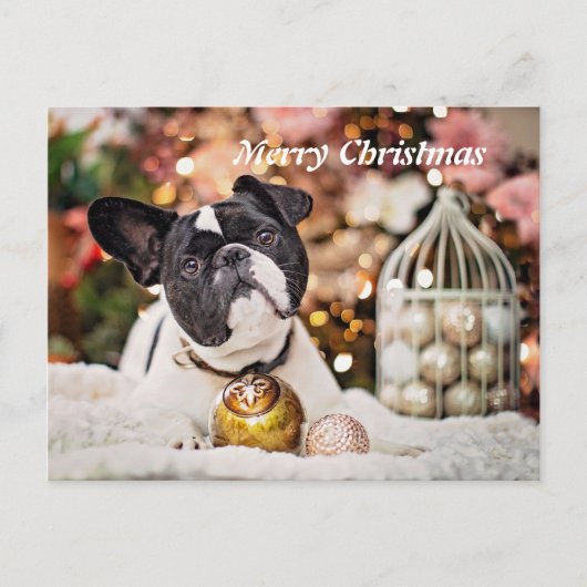 Merry kerst French Bulldog Feestdagenkaart (Voorkant)