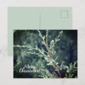 Merry kerst Frosty Evergreen Feestdagenkaart (Voorkant / Achterkant)