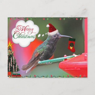 Merry kerst Hummingbird Feestdagenkaart