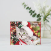 Merry kerst Kitten Briefkaart (Staand voorkant)