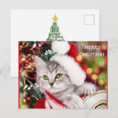 Merry kerst Kitten Briefkaart (Voorkant / Achterkant)