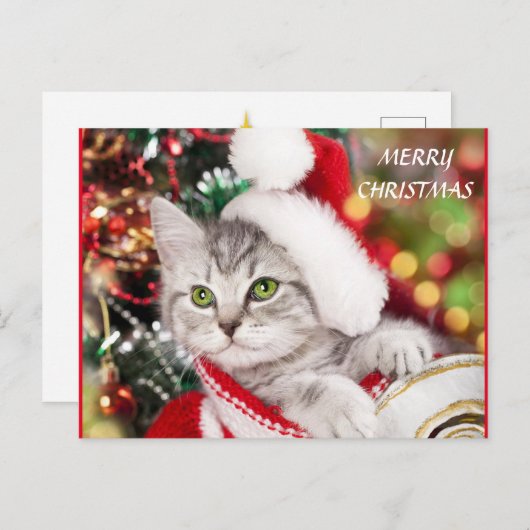 Merry kerst Kitten Briefkaart (Voorkant / Achterkant)