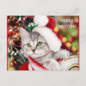 Merry kerst Kitten Briefkaart (Voorkant)