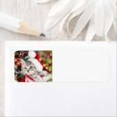 Merry kerst Kitten Etiket (Insitu)