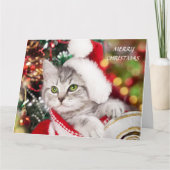 Merry kerst Kitten Kaart (Voorkant)