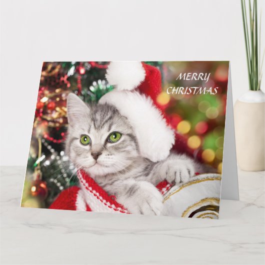 Merry kerst Kitten Kaart (Voorkant)