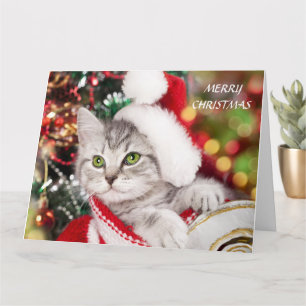 Merry kerst Kitten Kaart
