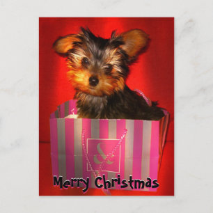 Merry kerst Little Yorkie  Feestdagenkaart