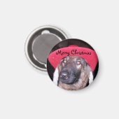 Merry kerst Magnet (Voorkant / Achterkant)