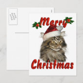 Merry kerst Maine Coon Cat Feestdagenkaart (Voorkant / Achterkant)