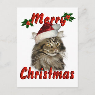 Merry kerst Maine Coon Cat Feestdagenkaart