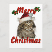 Merry kerst Maine Coon Cat Feestdagenkaart (Voorkant)