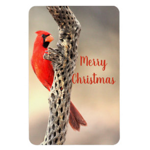 Merry kerst Noordelijke Kardinaal Magneet