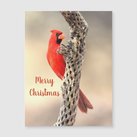Merry kerst Northern Kardinaal Magnet (Voorkant)