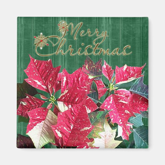Merry kerst Poinsettia Magnet (Voorkant)