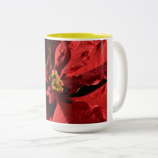 Merry kerst Red Curly Poinsettia Tweekleurige Koffiemok (Voorkant rechts)