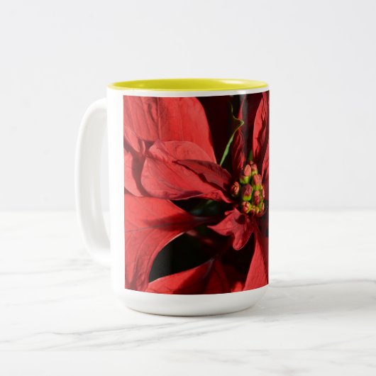 Merry kerst Red Curly Poinsettia Tweekleurige Koffiemok (Voorkant links)