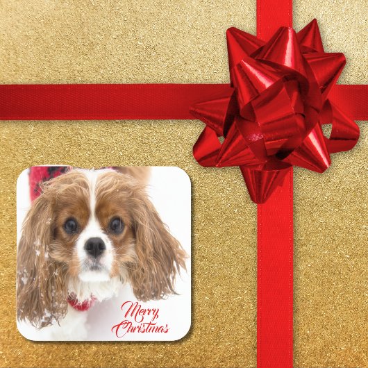 Merry kerst Snowy Cavalier King Charles Vierkante Sticker