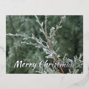 Merry kerst Sparking Frost Evergreen Branch Folie Feestdagen Briefkaart