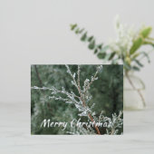 Merry kerst Sparking Frost Evergreen Branch Folie Feestdagen Briefkaart (Staand Voorkant)