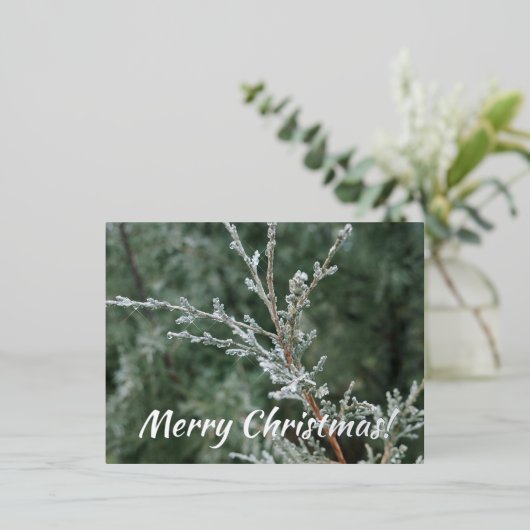 Merry kerst Sparking Frost Evergreen Branch Folie Feestdagen Briefkaart (Staand Voorkant)
