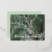Merry kerst Sparking Frost Evergreen Branch Folie Feestdagen Briefkaart (Voorkant / Achterkant)