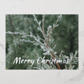 Merry kerst Sparking Frost Evergreen Branch Folie Feestdagen Briefkaart (Voorkant)