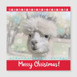 Merry Kerstalpaca Magnetic Card