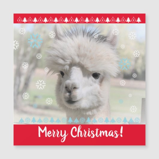 Merry Kerstalpaca Magnetic Card (Voorkant)