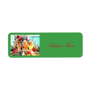 Merry Kerstangels trompetseren Etiket