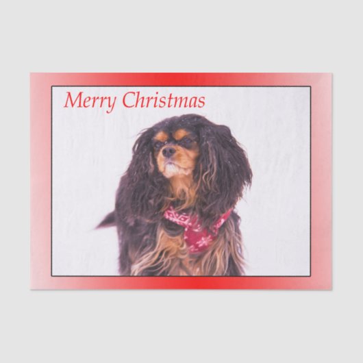 Merry KerstBlack Tan Cavalier King Charles Tissuepapier (Voorkant)