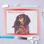 Merry KerstBlack Tan Cavalier King Charles Tissuepapier (Craft)