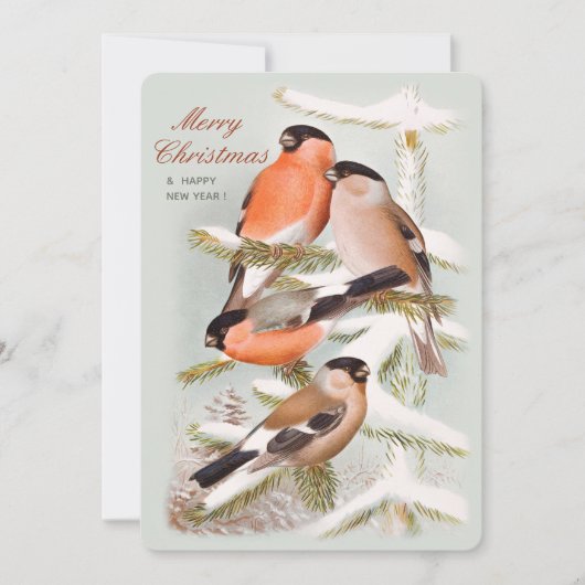 Merry Kerstbullfinches snowy-pijnboom CC1058 Feestdagenkaart (Voorkant)