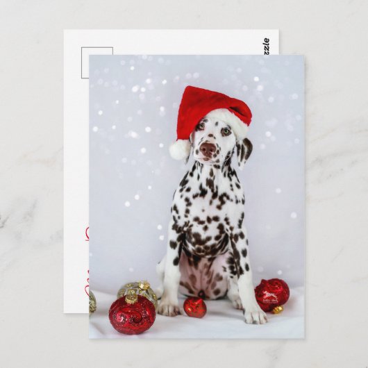 Merry Kerstdalmatian Briefkaart (Voorkant / Achterkant)