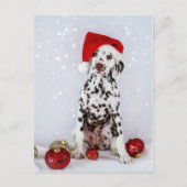 Merry Kerstdalmatian Briefkaart (Voorkant)